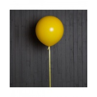 6013